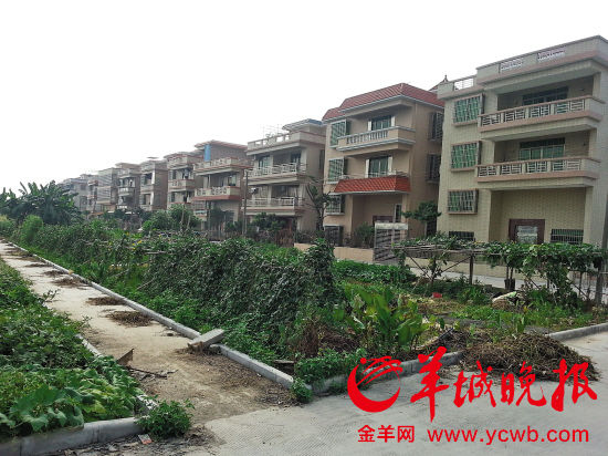 在番禺蚬涌村,填埋田地时牵出“受贿案” 在番禺蚬涌村,填埋田地时牵出“受贿案”