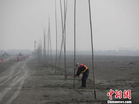 图为乌鲁木齐机场架设粘鸟网驱赶鸟类。 资料图 摄 图为乌鲁木齐机场架设粘鸟网驱赶鸟类。 资料图 摄