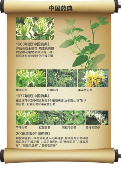 各版本中医药典 各版本中医药典