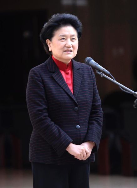 资料图:刘延东。中国体育在线 资料图:刘延东。中国体育在线
