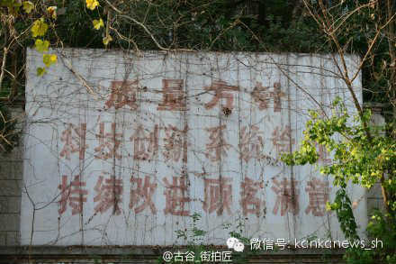 上海人“三线人生”：乡愁串起的深山与外滩