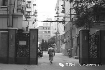 上海古道法华镇路:曾是遍植牡丹的小洛阳