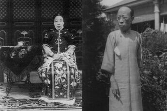 袁世凯五夫人杨氏 袁世凯五夫人杨氏