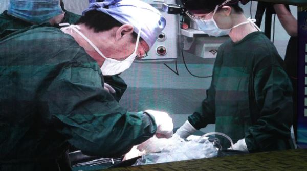 沈阳杏林整形外科医院挑战医学“换脸”_8小时让早衰少女“返老还童” 沈阳杏林整形外科医院挑战医学“换脸”_8小时让早衰少女“返老还童”